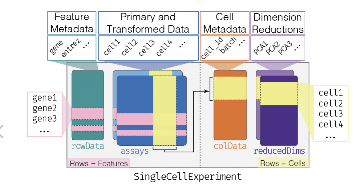 Filtering SummarizedExperiment