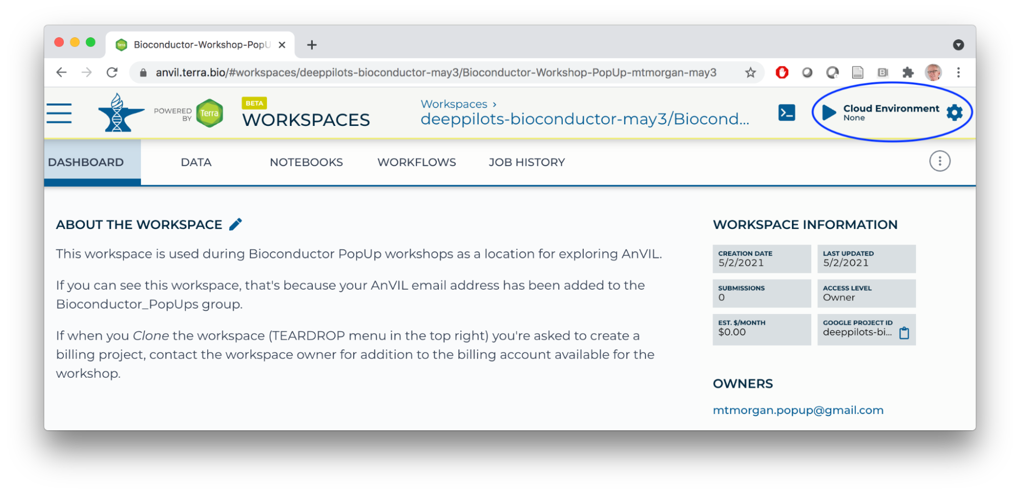 Start an RStudio Cloud Environment