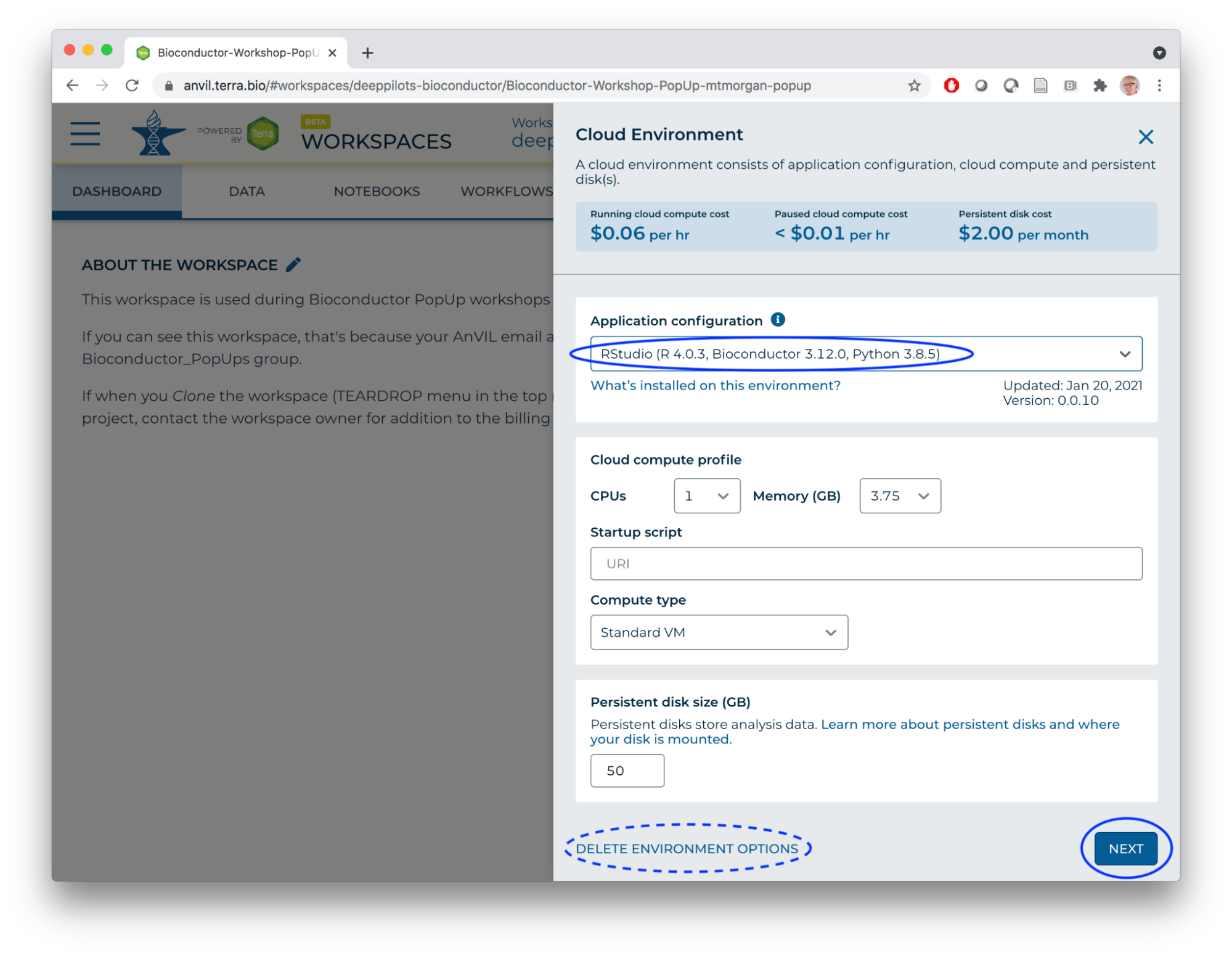 RStudio Custom Environment